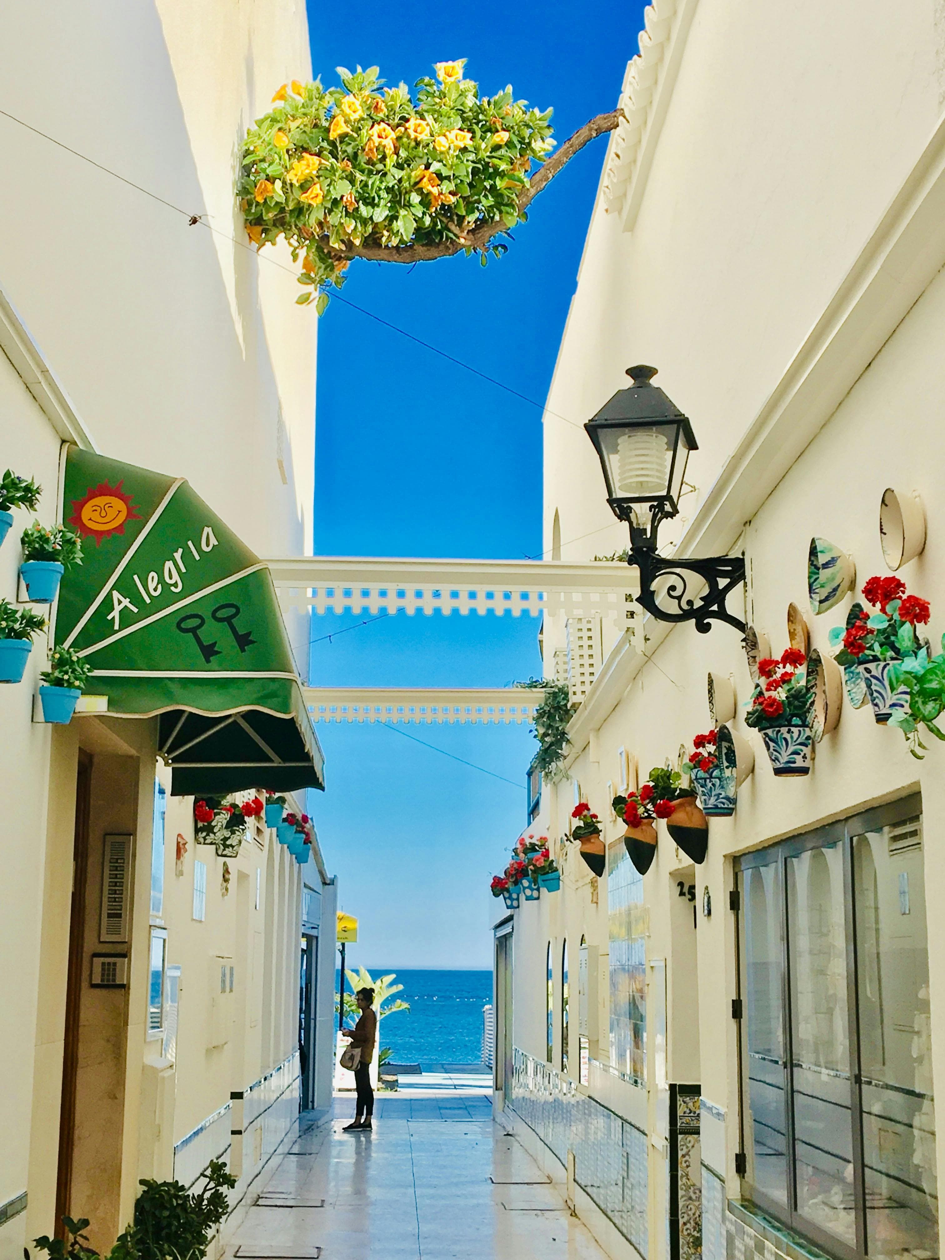 Vaste of variabele rente in Spanje: wat is slimmer in 2026?